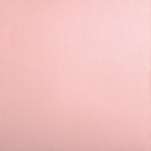 Dollaro Rosa