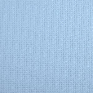 Pingo de Gente Azul